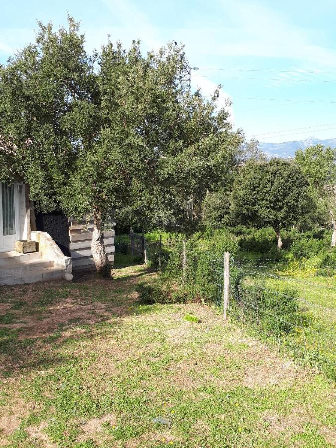 Casa Gattu Villa Porto-Vecchio  Bagian luar foto