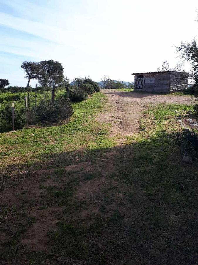 Casa Gattu Villa Porto-Vecchio  Bagian luar foto