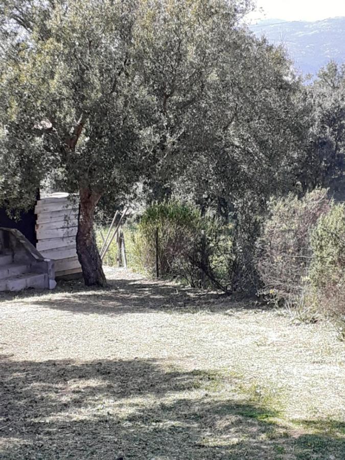 Casa Gattu Villa Porto-Vecchio  Bagian luar foto
