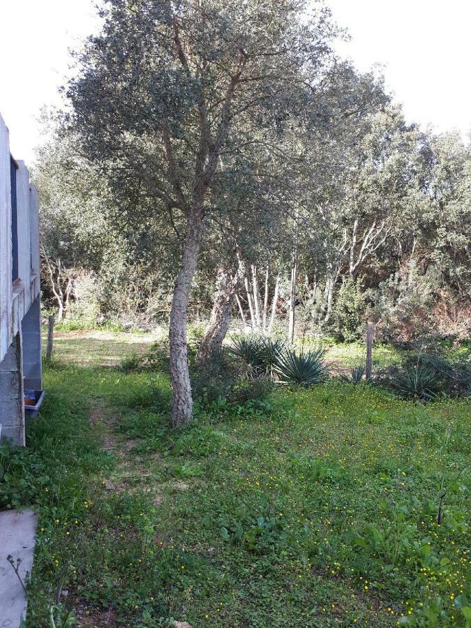 Casa Gattu Villa Porto-Vecchio  Bagian luar foto