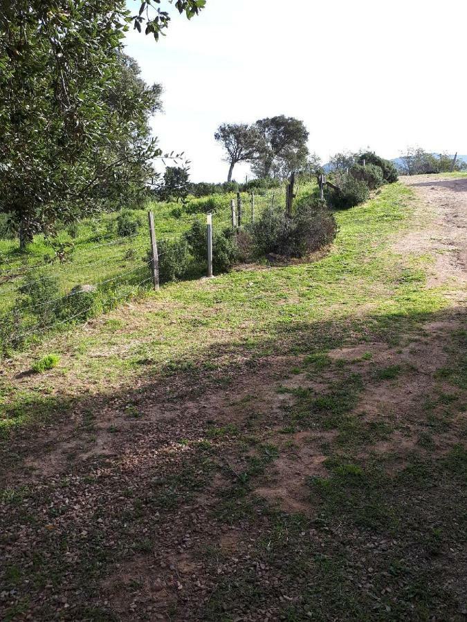 Casa Gattu Villa Porto-Vecchio  Bagian luar foto